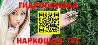 mdpv Кандалакша