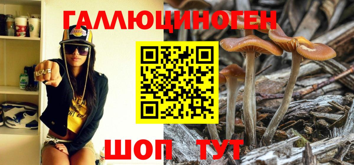 Галлюциногенные грибы ЛСД Кудрово